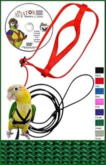 The AVIATOR Pet Bird Harness and Leash: Small Green Made in America