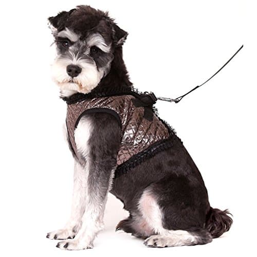 Ranphy Glitter Small Dog Harness No Pull Pet Vest Step-in Lace Harness with Leash Set Adjustable Girls for Walking Training Running Hiking Silver Size L