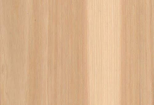 Veneer Technologies 4 x 8, with a 10 Mil Backer Wood Veneer (Red Oak)