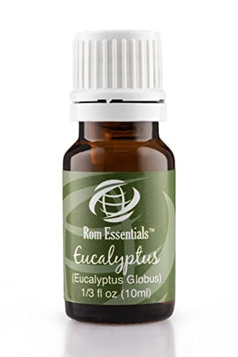 Eucalyptus Essential Oil 100% pure ( Eucalyptus Globus} 10ml