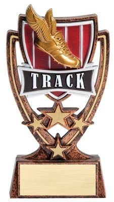 Order Fast Awards 4 Star Track Trophy
