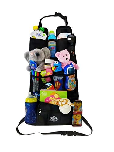 Cary Backseat Organizer