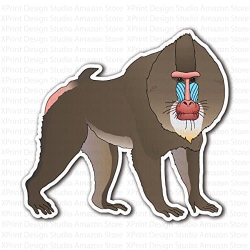 Monkey Baboon Sticker