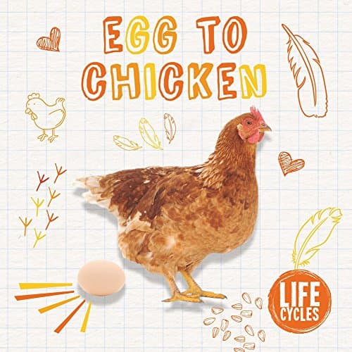 Egg to Chicken (Life Cycles)
