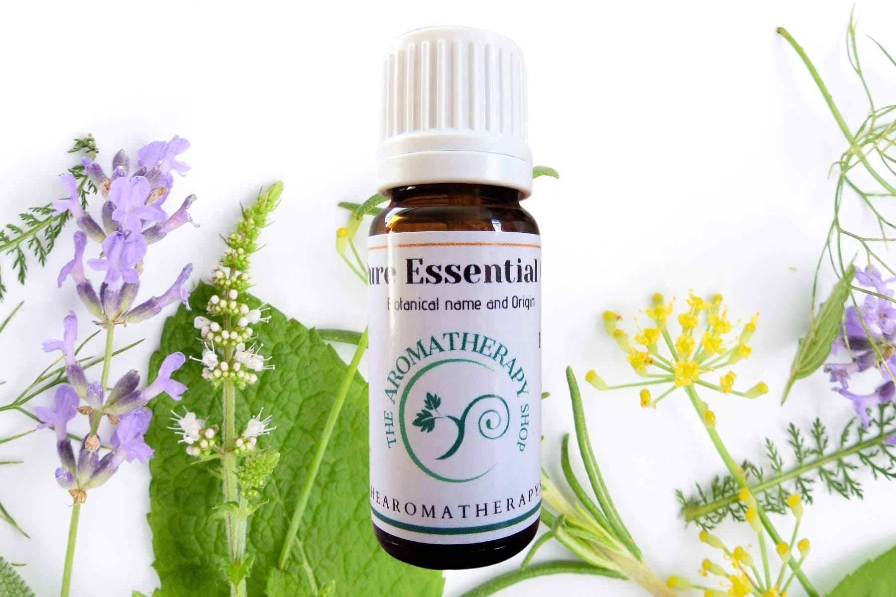 Nutmeg Pure Essential Oil 10ml