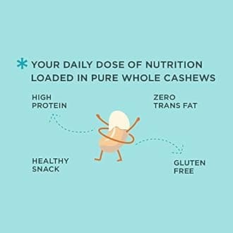 Open Secret Premium Cashew | 450g | Whole Cashew Nuts, Dry Fruits, Kaju, Cashew 450gm, Healthy Snacks, Cashews, Nutritious & Delicious, Healthy Dry Fruits, Gluten Free & High Protein (Pack of 2)