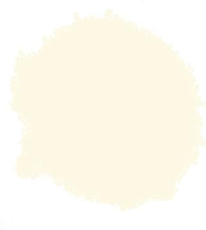 Rust-Oleum AE0040020E8 400ml Painter's Touch Spray Paint - Antique White Gloss