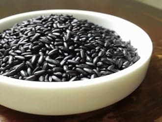 20 graines de RIZ Noir (Oryza Sativa) H373 Forbidden Black Rice Seeds SAMEN SEMI
