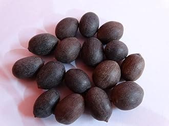 Ezeegrow Japanese Lotus Seed High Germination Rate Premium Pack for Planting in Water Indoor Lotus Kamal Gatta Flower Seed Home Gardening Indoor Outdoor Home Balcony (Pack of 80, 4, count)