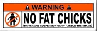 Warning NO Fat Chicks Sticker