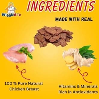 Chicken & Ginger Suger Glider Treat | Protein Rich | Anti-Inflammatory | Crunchy Healthy Snacks | 75g