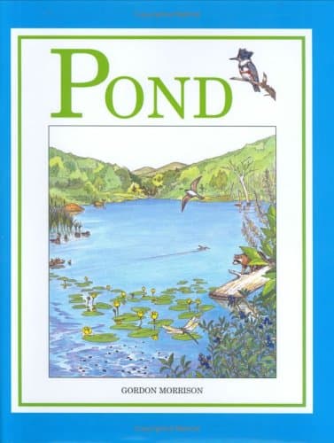 Pond