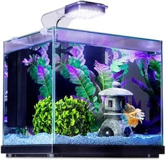 Imagitarium Glass Versa Aquarium 3.7 Gallons