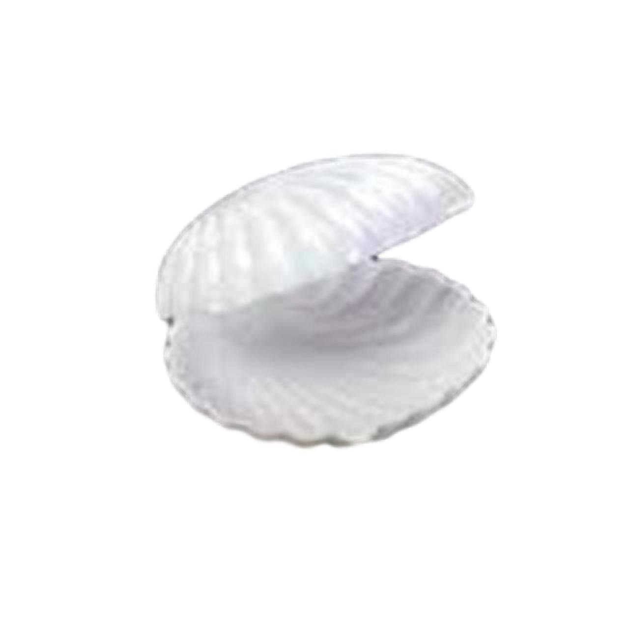 12 Medium Plastic Shell Candy Boxes Favors White 2.5 Inches Diameter