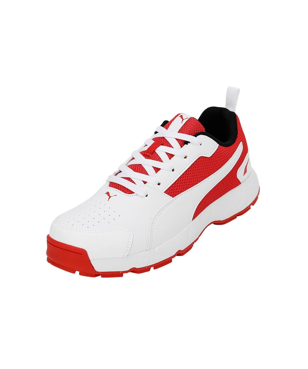 PUMA Men's Cricket
