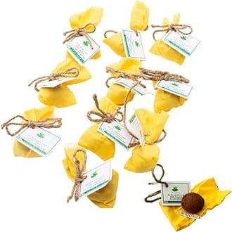 Sow and Grow Plantable seed balls of Sunflower (Pack of 10)