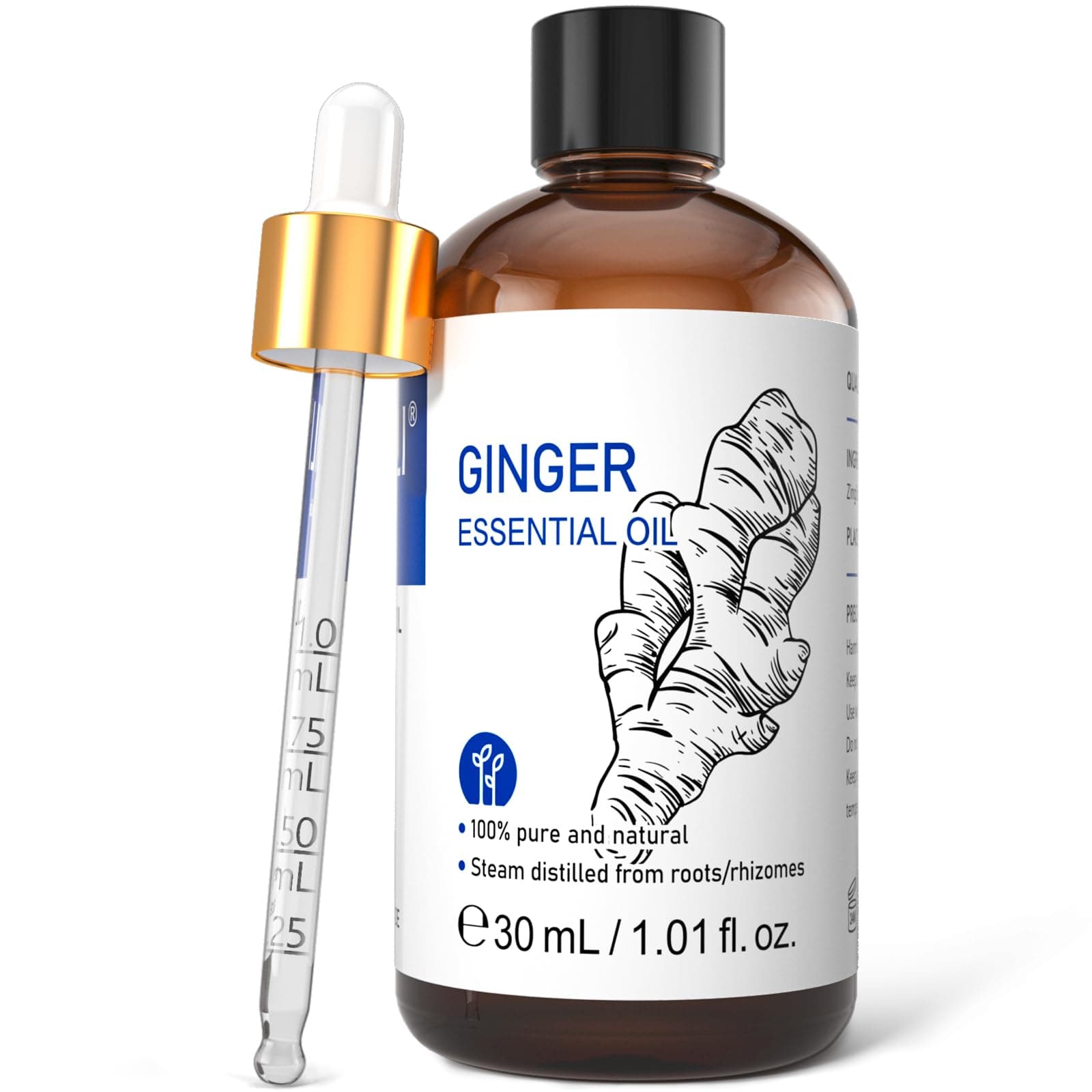 Ginger Essential Oil