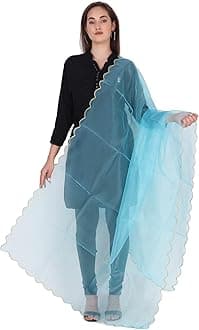 Traditions Bazaar Women's Organza Fabric Cut-Work Border Dupatta