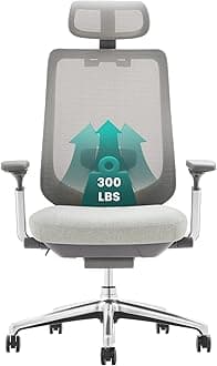 COLAMY Ergonomic Mesh Office Chair, High Back Office Chair, Ergonomic Computer Executive Desk Chair, Office Chair Lumbar Support with Adjustable Headrest and 4D Arms, Slide Seat, Tilt Lock-Lightgrey
