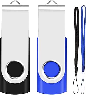 EASTBULL 2GB USB Flash Drive 2-Pack USB 2.0 Drive Swivel USB Stick Memory Stick Metal Pen Drive (Black & Blue)