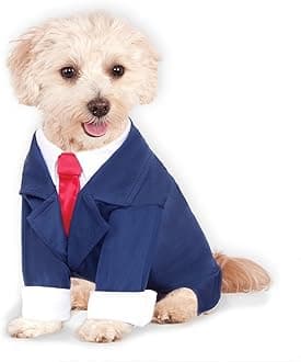 Business Suit for Pet, Medium