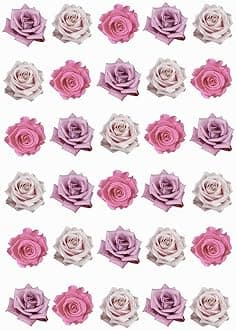 30 Pink Roses Mixed Colours Single Rose 2D Edible Rice Wafer Paper Cupcake Toppers Cake Decorations Flowers