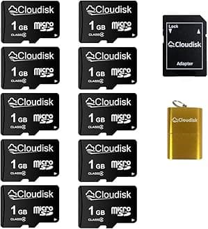 Pack of 10 Micro SD Card 1GB Flash Memory Card C4 with SD Adapter, Card Reader