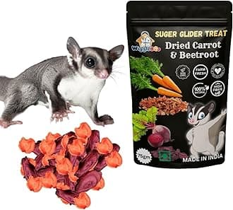 WiggleBoo Sugar Glider Treats || Crunchy & Delicious || Nutritious || Healthy & Tasty || All-Natural Snacks Packed with Flavor and Nutrients for Optimal Health and Wellness (Dried Carrot & Beetroot)