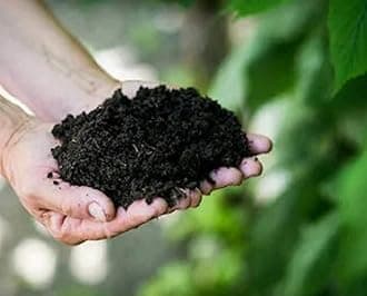 SAPRETAILER Cow Manure Organic Fertilizer 15Kg