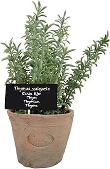 Artificial Herb Plant, Thyme, Large