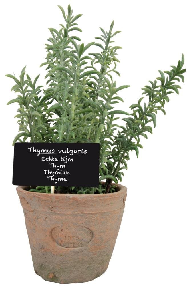 Artificial Herb Plant, Thyme, Large