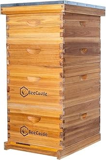 Bee Hive 10 Frame Complete Bee Hives and Supplies Starter Kit, Beeswax Coated Beehives for Beginners with Bee Hive Frame and Waxed Foundation Include 2 Deep Hive Box and 2 Medium Bee Hive Super