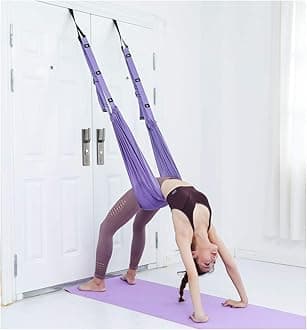 Ballet Dance Trainer Yoga Strap Bag Equipment (Purple)