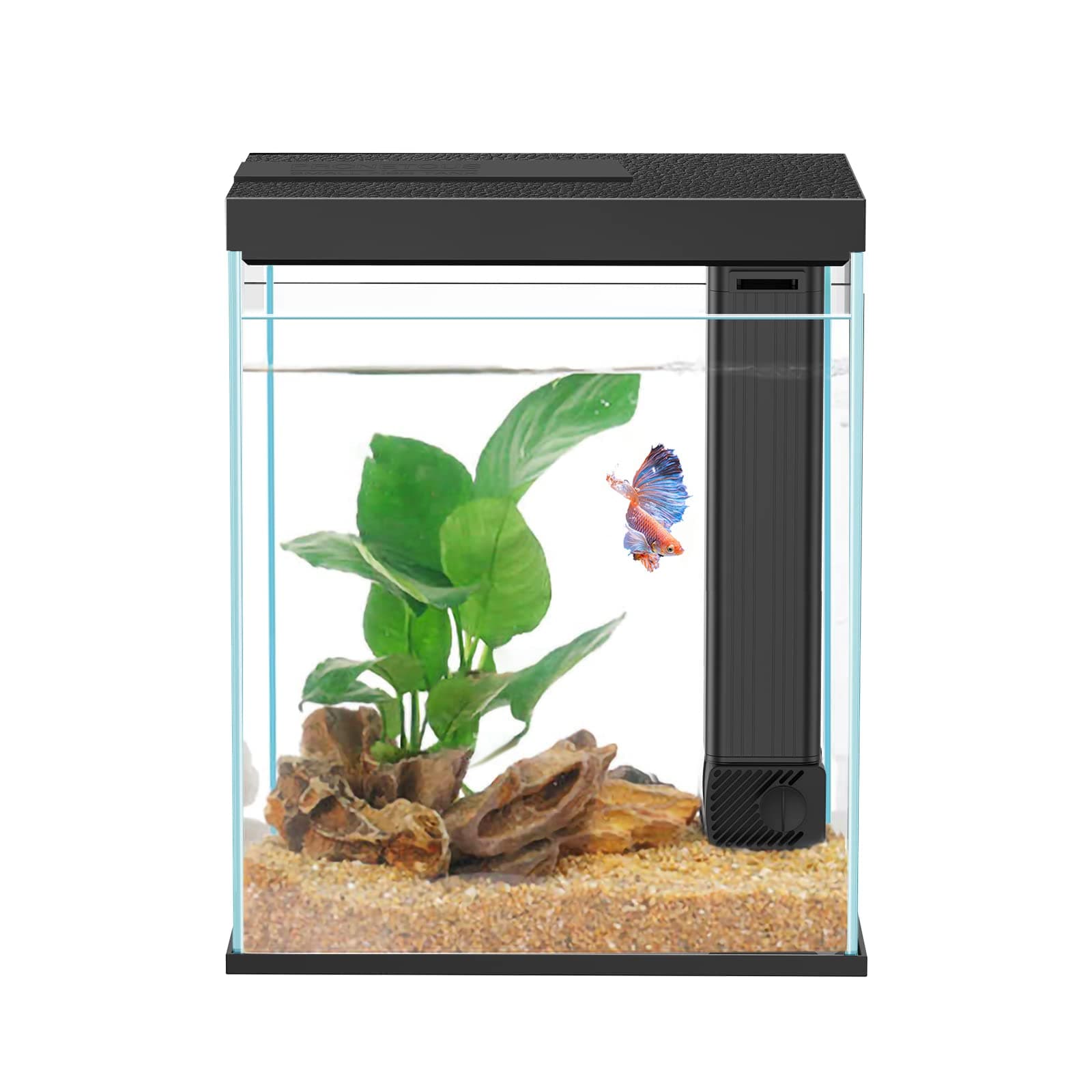 Betta Fish Tank, 2 Gallon Glass Aquarium Starter Kit, Small Fish Tank with Filter and Light.(Black)