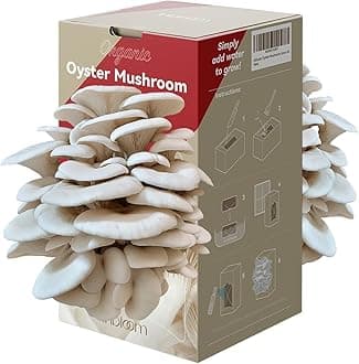 inbloom Large Organic Oyster Mushroom Grow Kit (4 lbs), Double-Side Mushroom Growing Kit, Edible Non-GMO Mushroom Kit, Grow Your Own Mushrooms at Home, Indoor Gardening Gift for Adult, Holiday Gift