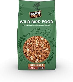 Wild Bird Peanuts: High Grade, Protein Rich, Year Round Wild Bird Food Peanuts - Ideal for Winter Feed - 12.75kg