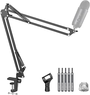 InnoGear Boom Arm Microphone Mic Stand for Blue Yeti HyperX QuadCast SoloCast Snowball Fifine Shure SM7B and Other Mic, Extended Mic Arm (Black)