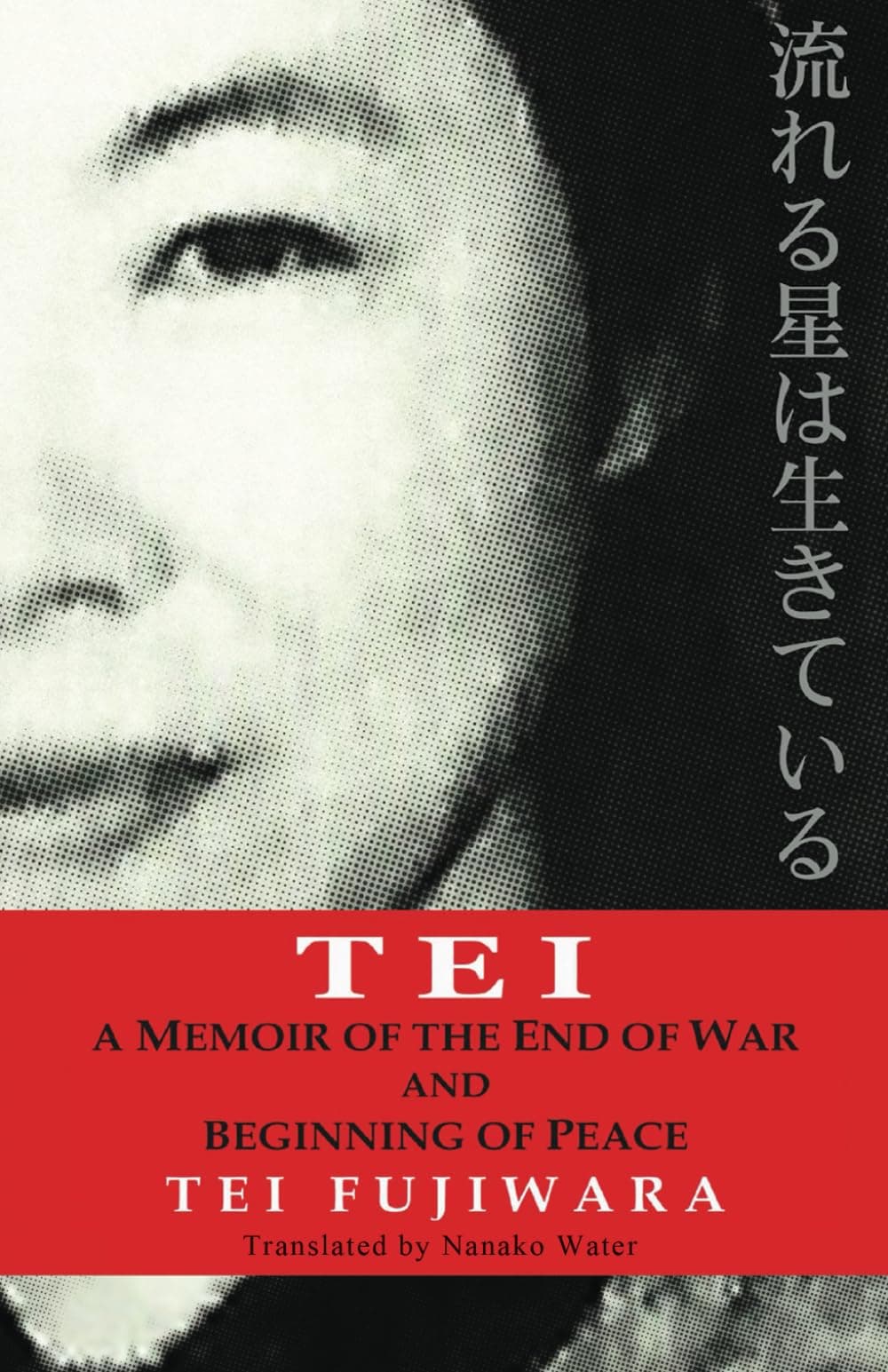 Tei Paperback – 1 May 2014