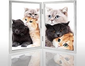 3.5x5 Picture Frame Double Hinged Silver Metal Thin Edge Frame with High Definition Glass Front Folding Frames Stand Vertically on Tabletop,Silver