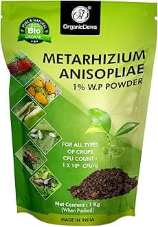 Metarhizium anisopliae 1 Kg (1x10^8 CFU/g) for Plants 1 Kg