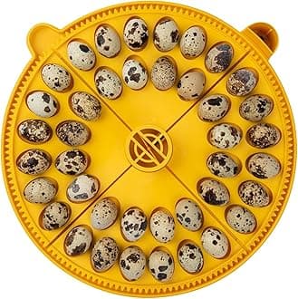 Brinsea Maxi Advance Incubator Small Egg Quadrants Insert (40 Quail Eggs)