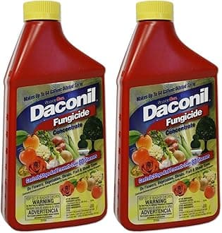 Daconil® Fungicide Concentrate for Insects 16 oz. - 100523634 (Pack of 2)