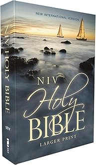 Holy Bible: New International Version, Blue, Comfort Print, Economy Edition