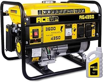 4350W Portable Generator