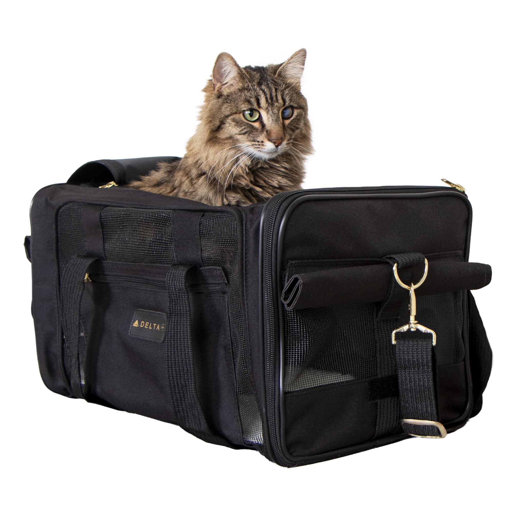 Delta Airlines Pet Carrier