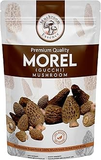 Morel Mushroom Medium Size Tail Cut (50g) Dried Wild Harvested Nature | Gucchi Mushroom | (Pack of 1)