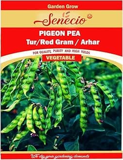 SENECIO� Tur Pigeon Pea/Red Gram/Arhar Bean For Kitchen Terrace Home Garden Easy To Grow Pack of 100 Seed