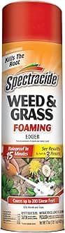 Weed & Grass Foaming Edger (17 oz), 1 Count
