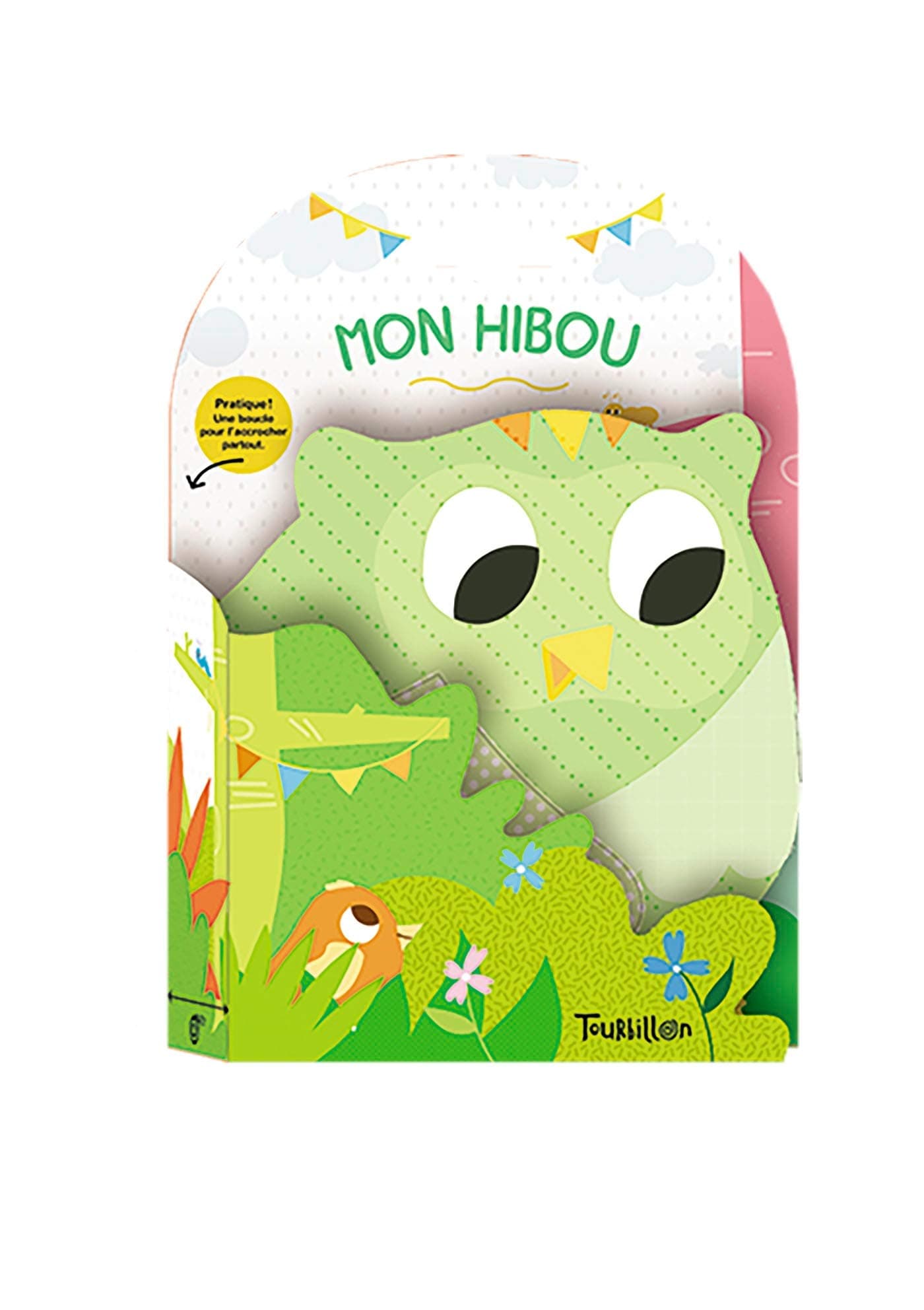 Mon hibou Paperback – Illustrated