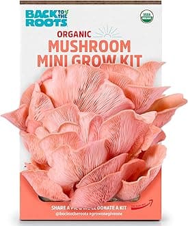 Organic Pink Miniature Mushroom Grow Kit, Harvest Gourmet Mushrooms in 10 Days